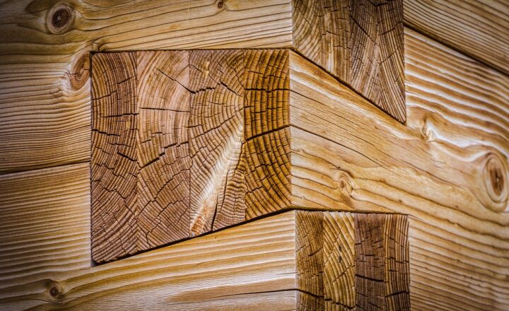 From Gardening to Woodworking: Why Hands-On Hobbies Are Making a Big Comeback