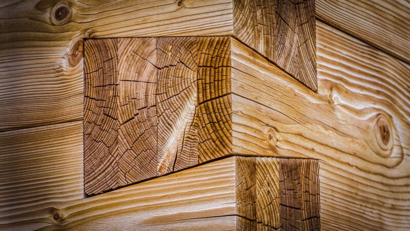 From Gardening to Woodworking: Why Hands-On Hobbies Are Making a Big Comeback From Gardening to Woodworking: Why Hands-On Hobbies Are Making a Big Comeback