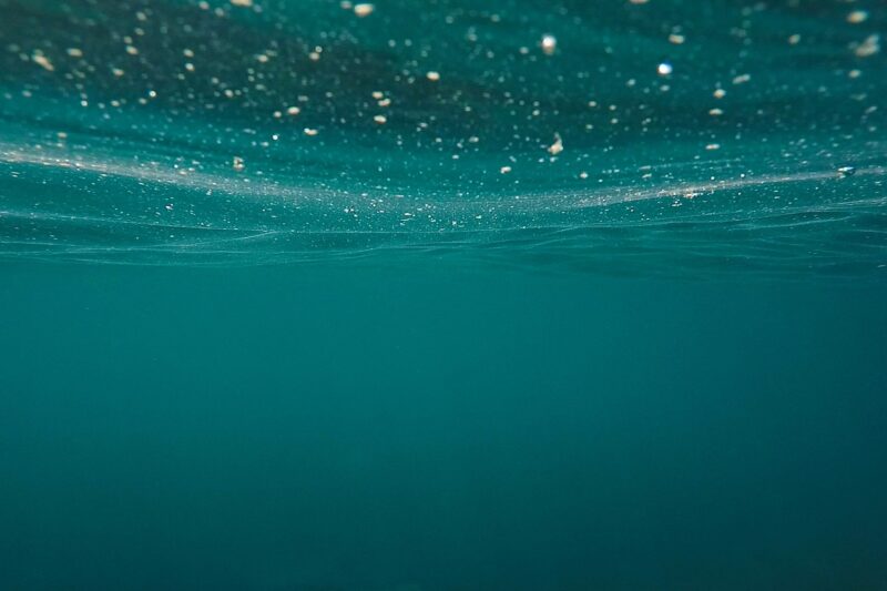 The Science of Underwater Photography in Capturing Marine Life The Science of Underwater Photography in Capturing Marine Life