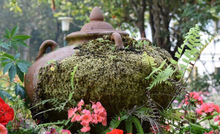 How Technology Helps Preserve and Showcase Ancient Artifacts