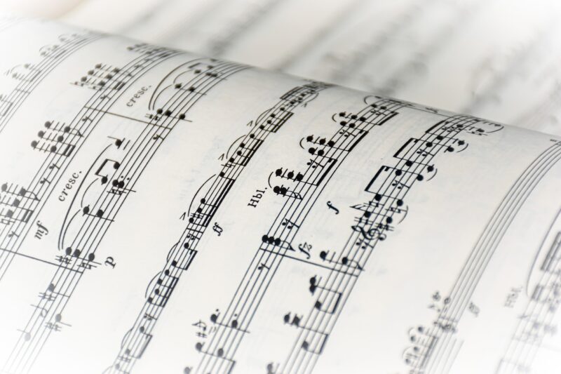 A Guide to Reading Music Notes for Beginner Musicians A Guide to Reading Music Notes for Beginner Musicians