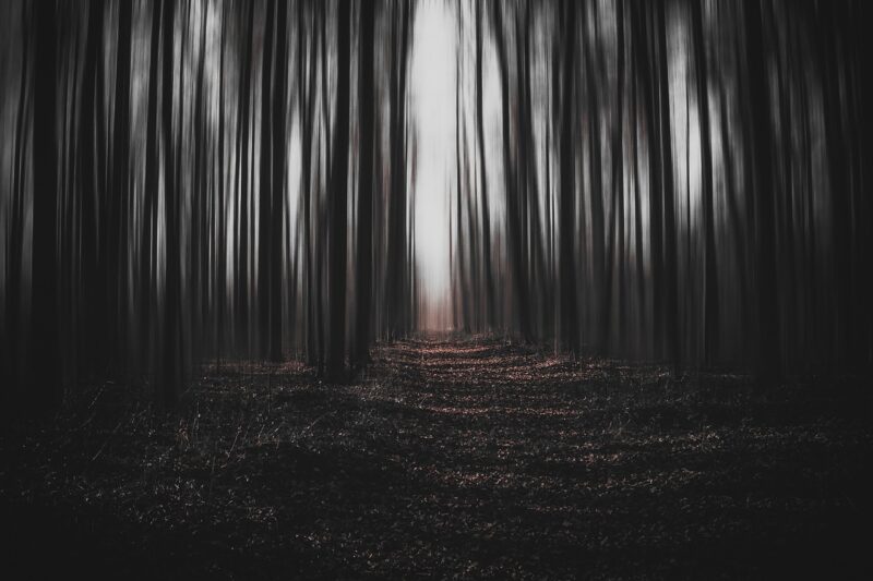The FBI’s Most Bizarre Paranormal Investigations The FBI’s Most Bizarre Paranormal Investigations