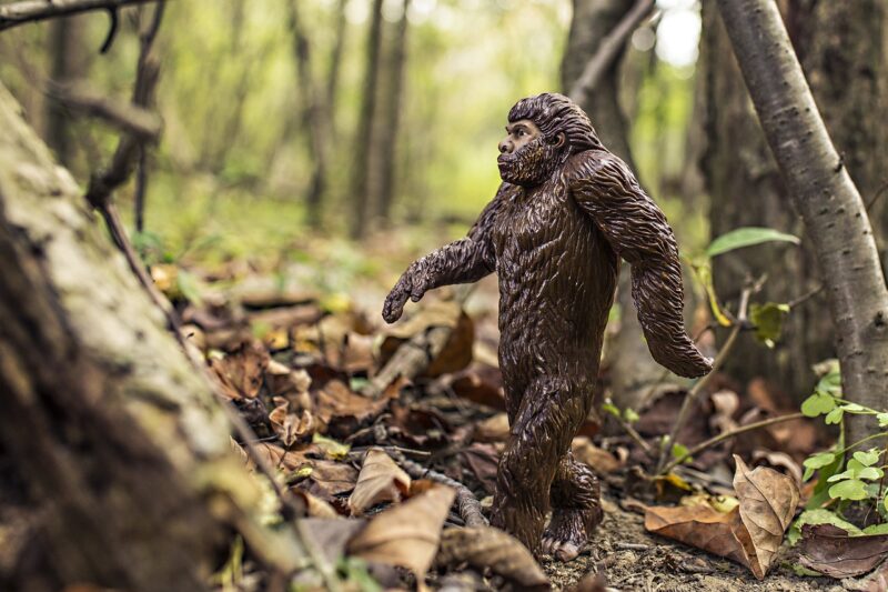 Theories About Bigfoot: Sightings, Evidence, and Skepticism Theories About Bigfoot: Sightings, Evidence, and Skepticism