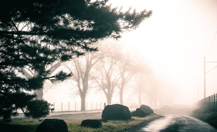 The FBI’s Cold Cases Involving Mysterious Disappearances