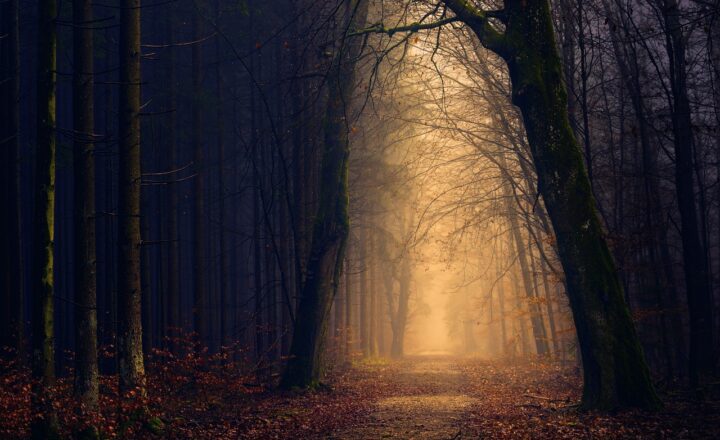 The New Jersey Devil Sightings: Strange Creatures, Folklore, or Alien Beings?