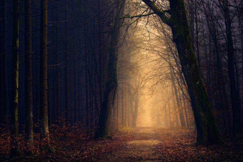 The New Jersey Devil Sightings: Strange Creatures, Folklore, or Alien Beings? The New Jersey Devil Sightings: Strange Creatures, Folklore, or Alien Beings?