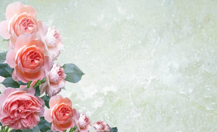 How to Make Pop-Up Cards: A Fun Craft for All Ages