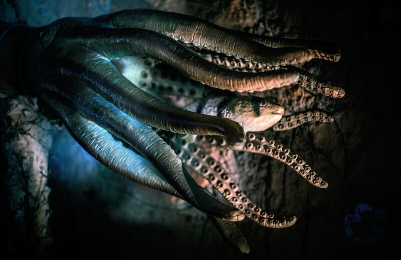The Ancient Legend of the Kraken: Sea Monster or Mistranslation? The Ancient Legend of the Kraken: Sea Monster or Mistranslation?