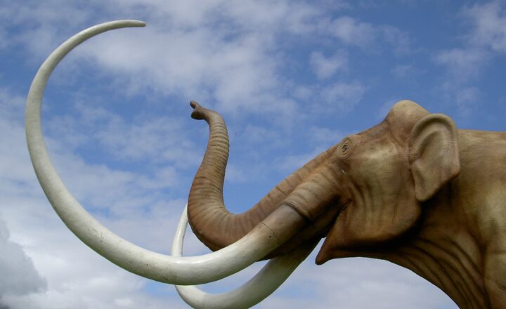The Most Iconic Prehistoric Animals of the Ice Age: A Journey Through Time
