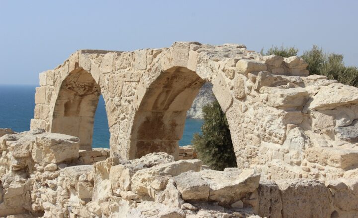 How Archaeologists Uncover the Secrets of Ancient Animal Bones