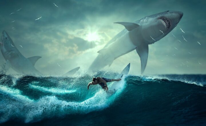The Secret Life of Ancient Sharks: Giants of Prehistoric Oceans