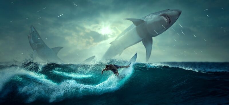 The Secret Life of Ancient Sharks: Giants of Prehistoric Oceans