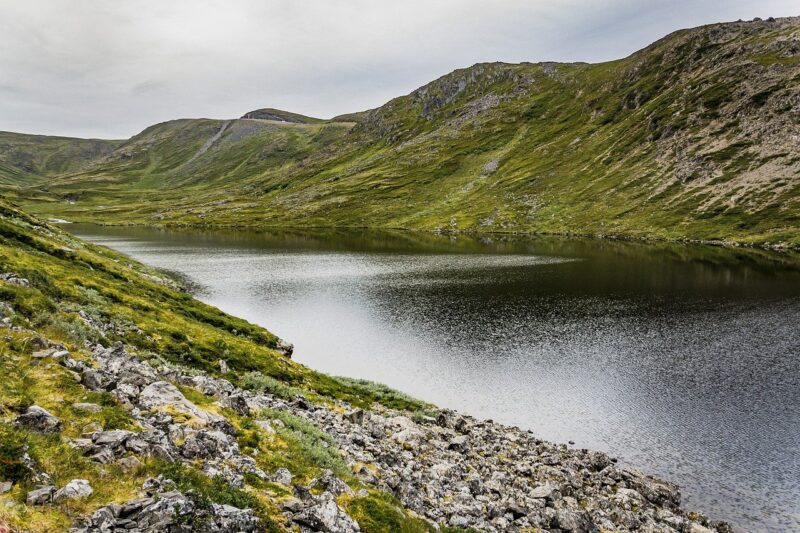 Why Rivers Are Disappeiring: How Human Activity is Draining Natural Waterways Why Rivers Are Disappeiring: How Human Activity is Draining Natural Waterways