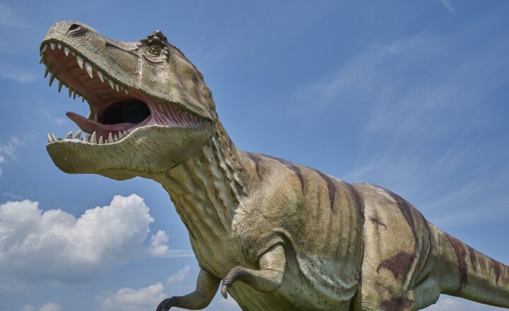 Exploring the Dinosaurs of North America: Which Species Once Roamed Here?