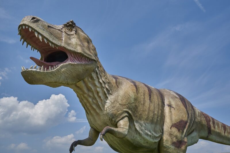 Exploring the Dinosaurs of North America: Which Species Once Roamed Here? Exploring the Dinosaurs of North America: Which Species Once Roamed Here?