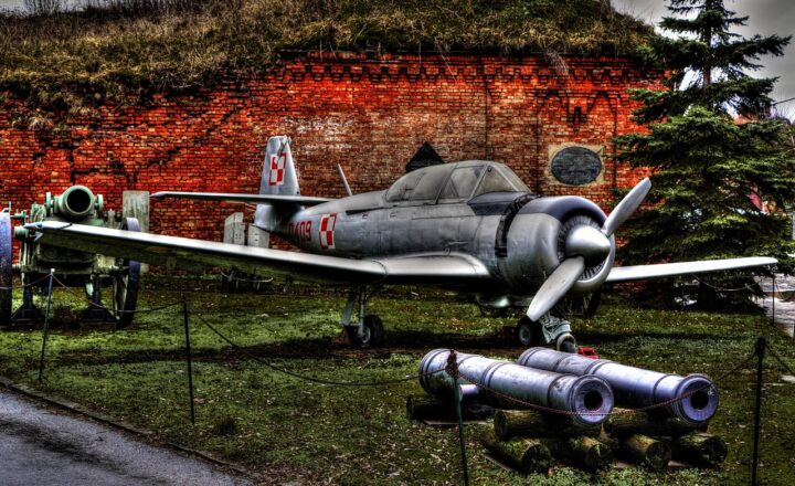 The Funny Story of the Warsaw Zoo During WWII: A Tale of Animals and Espionage