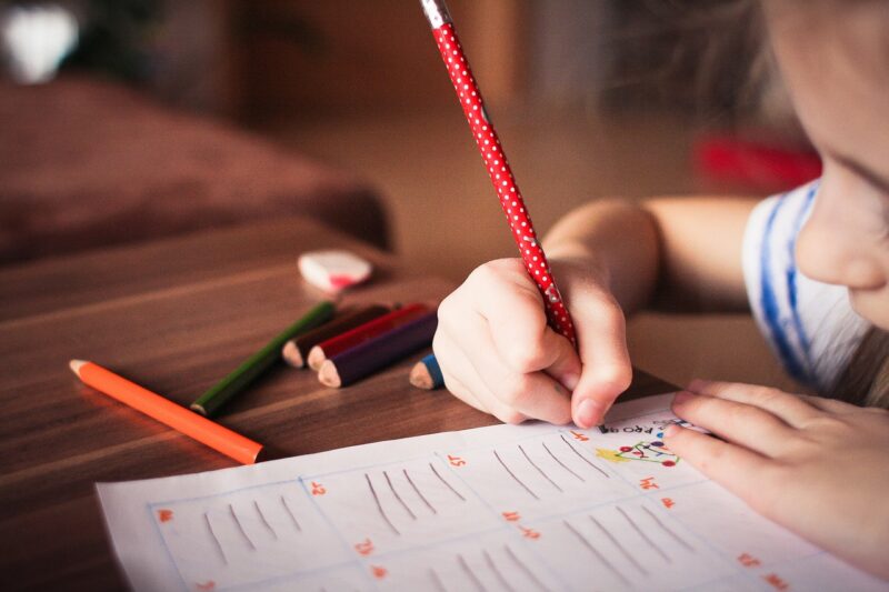 The Educational Impact of Zoos: How They Inspire Future Conservationists The Educational Impact of Zoos: How They Inspire Future Conservationists