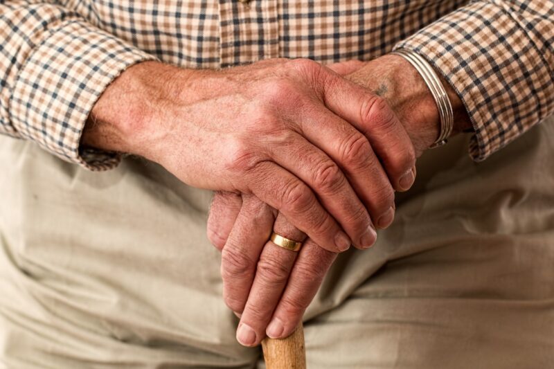 Caring for Senior Pets: Tips for Ensuring They Stay Comfortable and Healthy Caring for Senior Pets: Tips for Ensuring They Stay Comfortable and Healthy