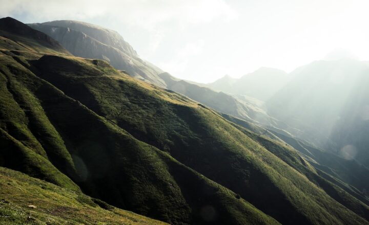 The First Time Humans Began Domesticating Animals