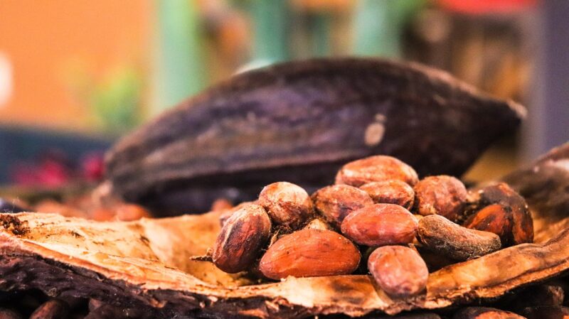 Why the Aztecs Considered Chocolate to Be the Food of the Gods