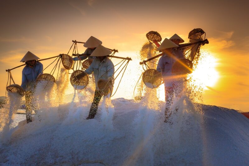 How Salt Was Once Used as Currency in Ancient Civilizations How Salt Was Once Used as Currency in Ancient Civilizations