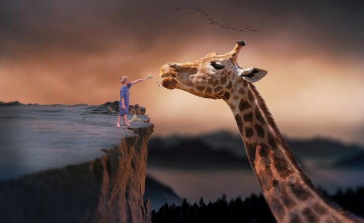The Unbelievable Story of the Time France Gave a Giraffe as a Diplomatic Gift