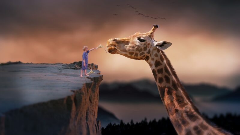 The Unbelievable Story of the Time France Gave a Giraffe as a Diplomatic Gift The Unbelievable Story of the Time France Gave a Giraffe as a Diplomatic Gift