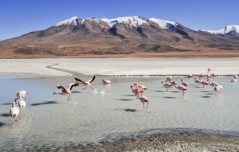 How the Andes Became the Longest Mountain Range