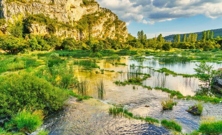 What Causes a River to Meander? The Science of Water Flow