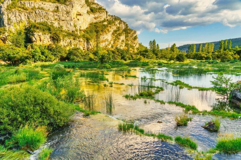 What Causes a River to Meander? The Science of Water Flow