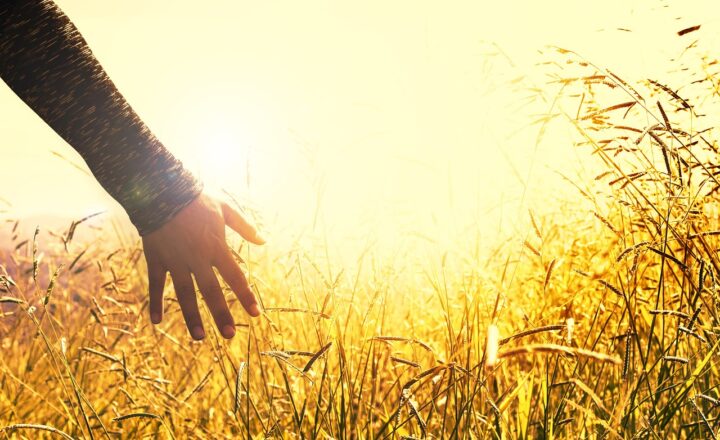 How Historical Peace Agreements Shaped Modern Diplomacy Practices