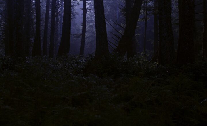 The Scariest Horror Movies Based on True Stories That Will Keep You Awake