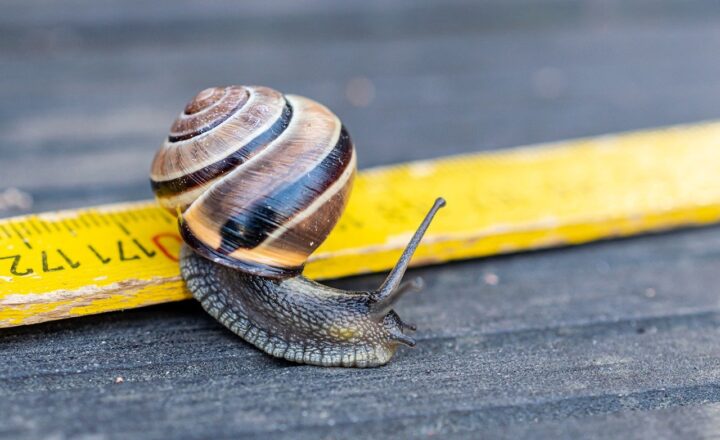 How Modern Travelers Are Reviving the Lost Art of Slow Tourism