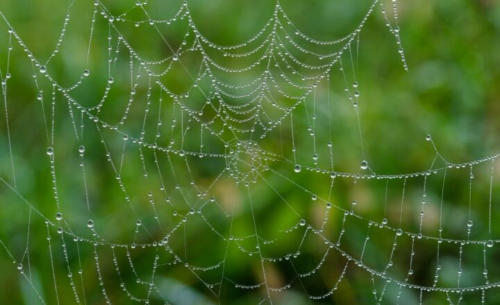 How the Dark Web Operates Beneath the Surface of the Internet