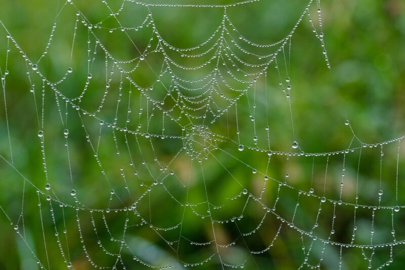 How the Dark Web Operates Beneath the Surface of the Internet How the Dark Web Operates Beneath the Surface of the Internet