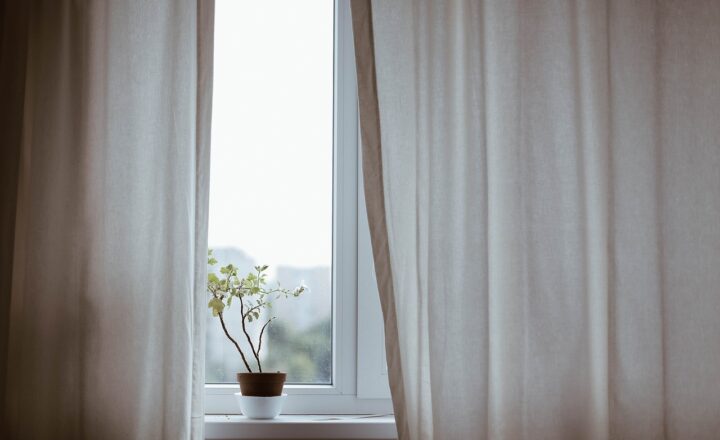 The Best DIY Gardening Hacks to Grow a Thriving Indoor Plant Collection