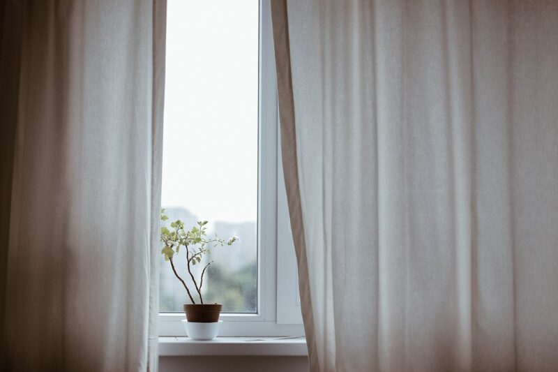 The Best DIY Gardening Hacks to Grow a Thriving Indoor Plant Collection The Best DIY Gardening Hacks to Grow a Thriving Indoor Plant Collection