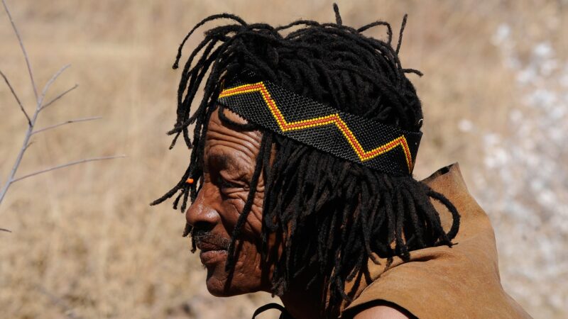 The Impact of Colonial Languages on Indigenous Cultures and Modern Politics The Impact of Colonial Languages on Indigenous Cultures and Modern Politics