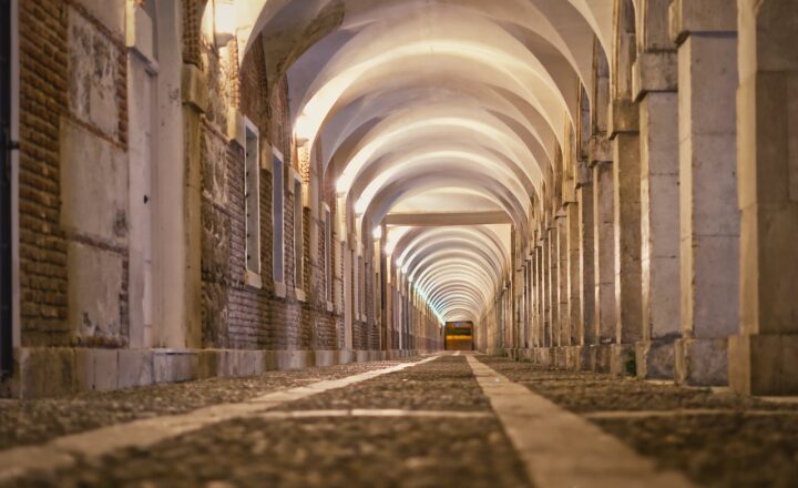 The Rise and Fall of Dynasties: Lessons from History’s Longest-Lasting Monarchies