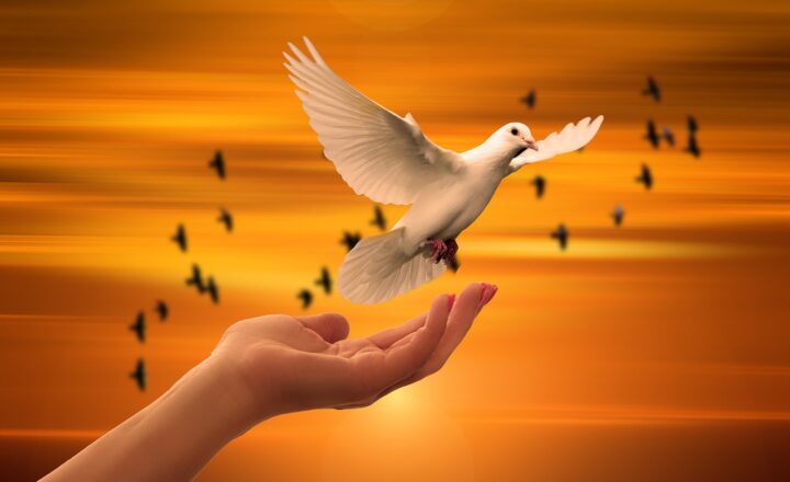 Why Some Nations Embrace Multilingualism While Others Struggle with Linguistic Unity