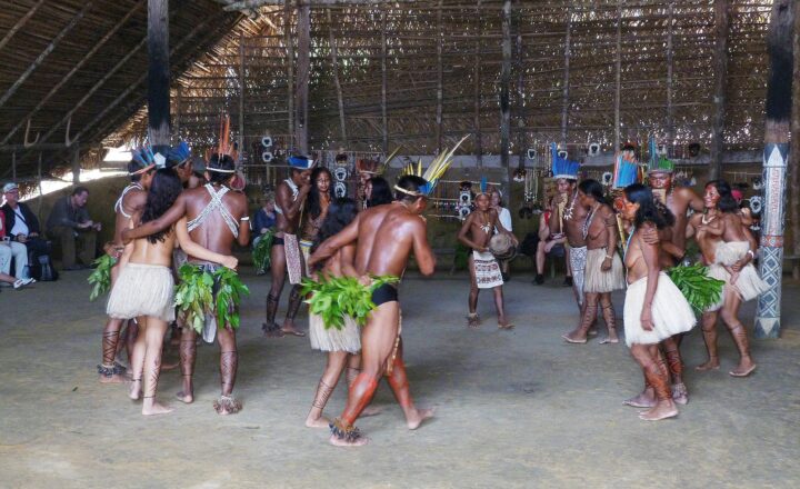 Why the Amazon Rainforest Is Called Earth’s Lungs