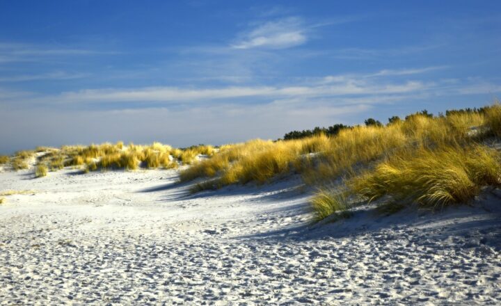 Why Coastal Erosion Happens and How It Affects Shorelines