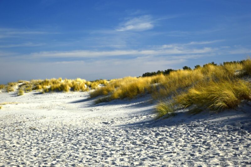 Why Coastal Erosion Happens and How It Affects Shorelines