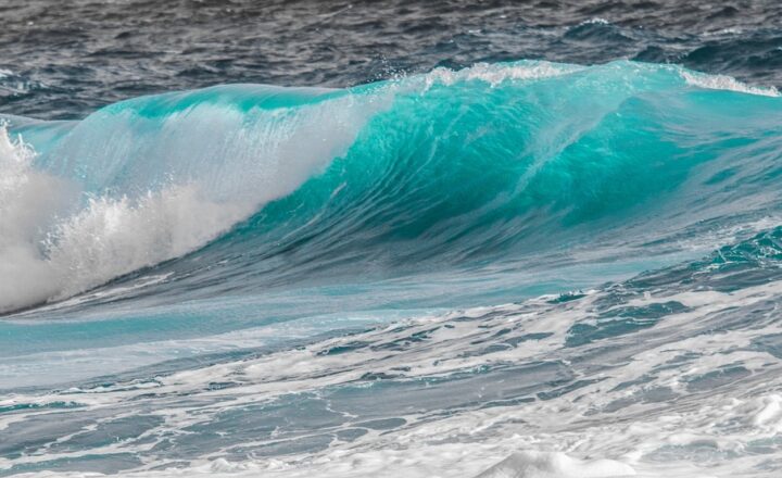 How Waves Travel: From Ocean Waves to Light Waves