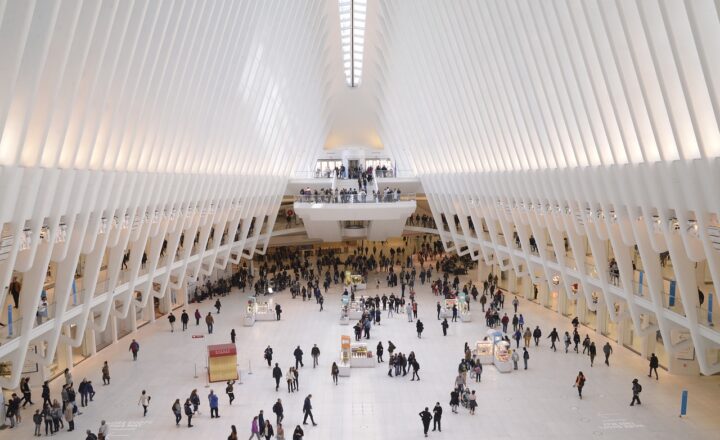 The History of Public Parks: How Green Spaces Became a Sanctuary in Cities