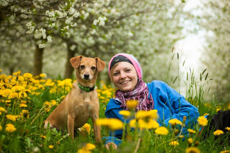 The Amazing Things We’ve Learned from Animals About Human Behavior The Amazing Things We’ve Learned from Animals About Human Behavior