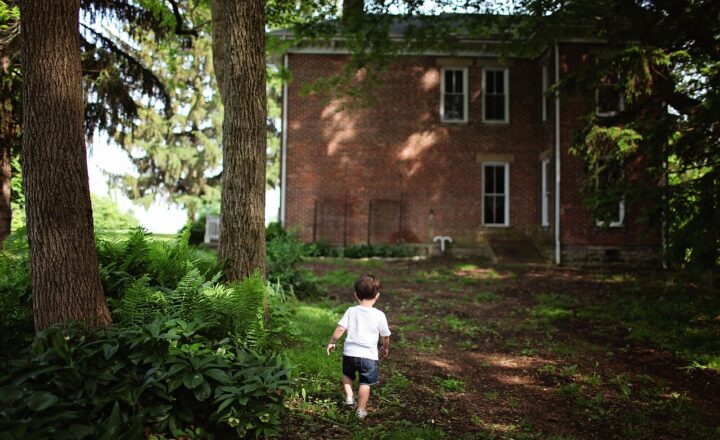 The Most Shocking Discoveries Found in People’s Backyards