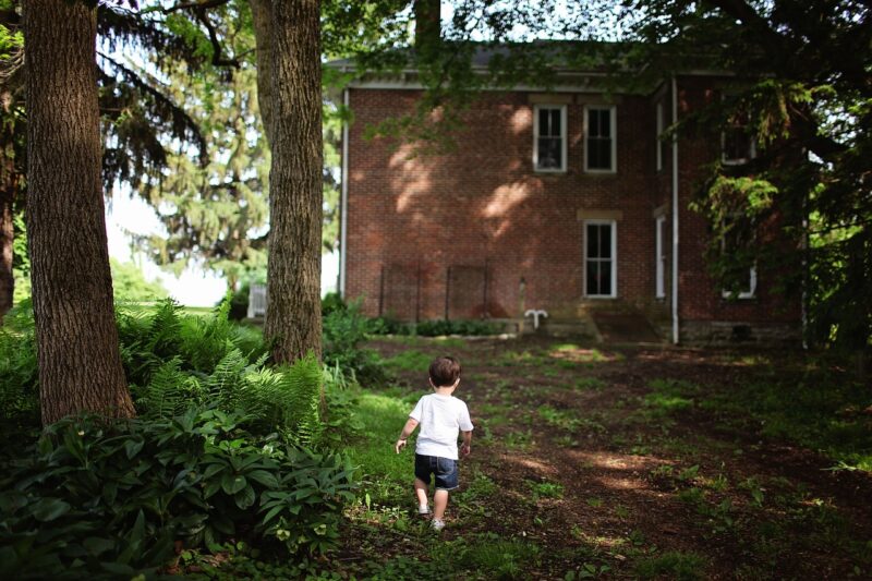 The Most Shocking Discoveries Found in People’s Backyards The Most Shocking Discoveries Found in People’s Backyards