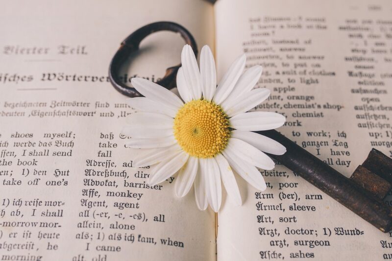 The Curious History of Words We Use Every Day and Their Hidden Origins The Curious History of Words We Use Every Day and Their Hidden Origins