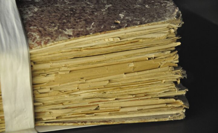 The History of Languages: How Communication Has Evolved Over Millennia